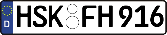 HSK-FH916