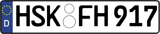 HSK-FH917