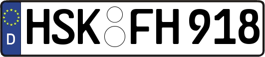 HSK-FH918