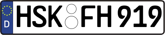 HSK-FH919