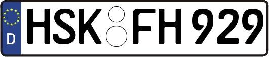 HSK-FH929