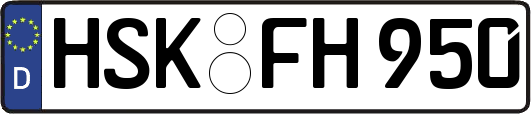 HSK-FH950