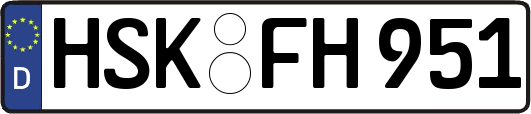 HSK-FH951