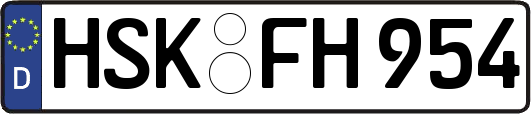 HSK-FH954