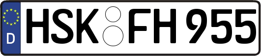 HSK-FH955