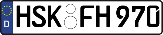 HSK-FH970