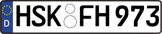 HSK-FH973