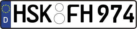 HSK-FH974
