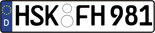 HSK-FH981