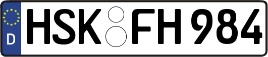 HSK-FH984