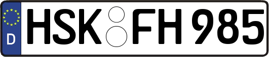 HSK-FH985