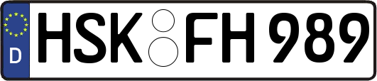 HSK-FH989