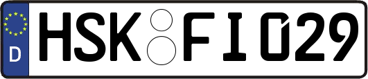 HSK-FI029