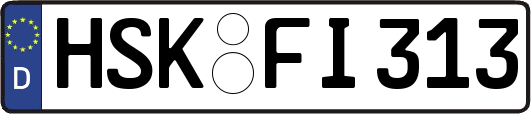 HSK-FI313