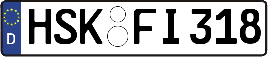 HSK-FI318
