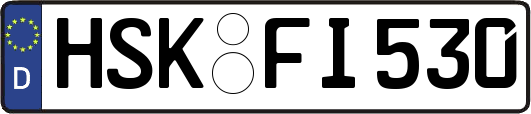HSK-FI530