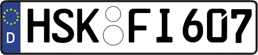 HSK-FI607