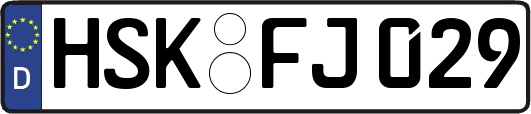 HSK-FJ029