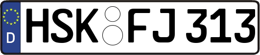 HSK-FJ313
