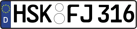 HSK-FJ316