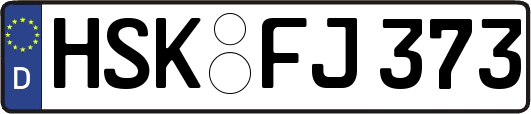 HSK-FJ373