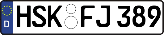 HSK-FJ389