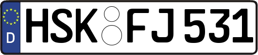 HSK-FJ531