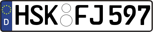 HSK-FJ597