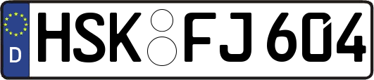 HSK-FJ604