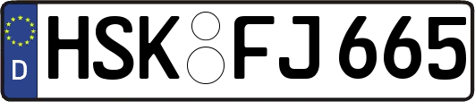 HSK-FJ665