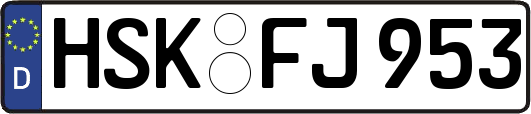 HSK-FJ953