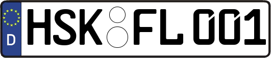 HSK-FL001