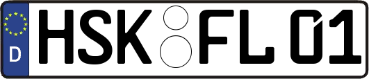 HSK-FL01