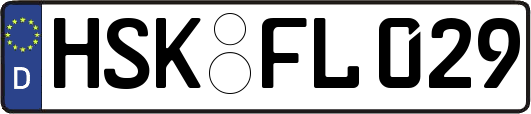HSK-FL029