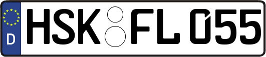 HSK-FL055