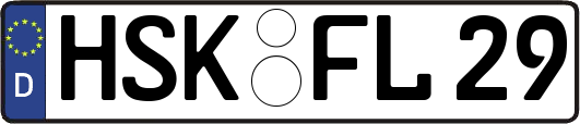 HSK-FL29