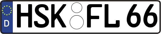 HSK-FL66