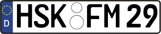 HSK-FM29
