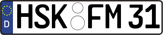 HSK-FM31
