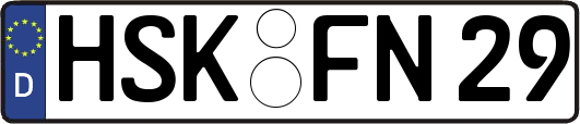 HSK-FN29