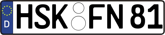 HSK-FN81