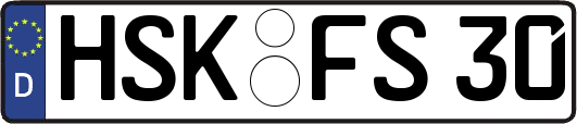 HSK-FS30