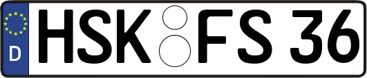 HSK-FS36