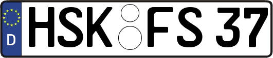 HSK-FS37