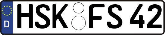 HSK-FS42