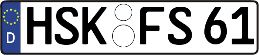 HSK-FS61
