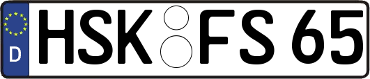 HSK-FS65