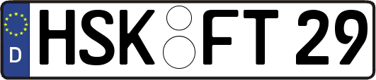 HSK-FT29