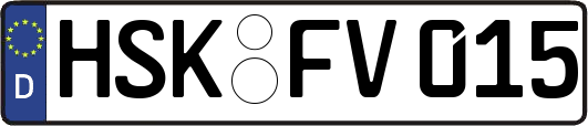 HSK-FV015