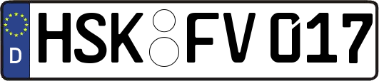 HSK-FV017